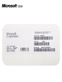 Microsoft Windows Server Cal 2025 1Pk Device Cal